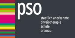 Logo PSO